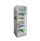 Distributore automatico di verdure dei prodotti dell'azienda agricola della frutta fresca con il touch screen del sistema di raffreddamento