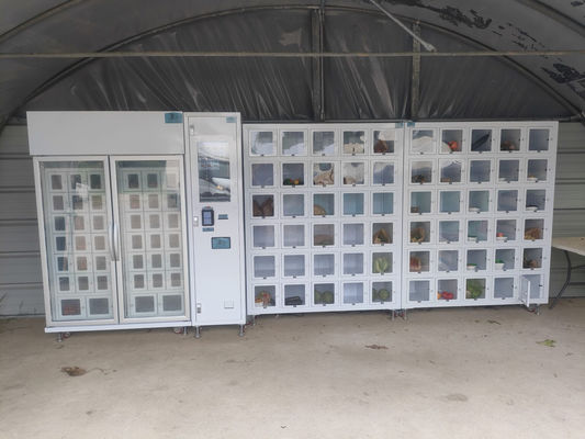 Macchine automatiche per vendere uova per prodotti agricoli a portata di mano