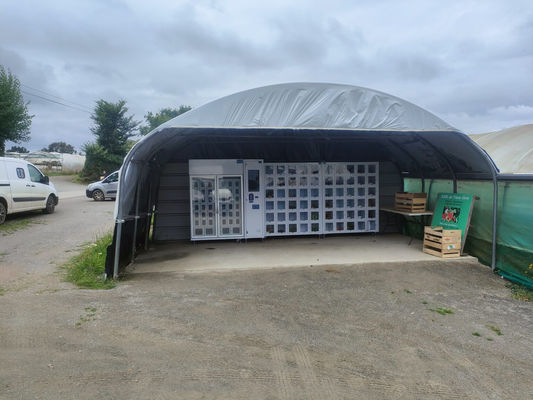 R290 Compressore di gas verde Macchina per vendere alimenti freschi Alta durata e sicurezza