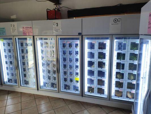 Android 11 Dispenser di uova per produttori agricoli su piccola scala 24/7 Comodità ed efficienza